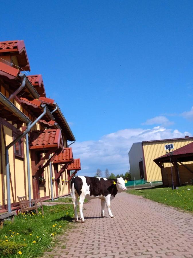 Pensjonat Przy Stajni Kierzkowo (Gdansk) Exterior foto